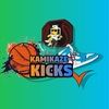 kamikazekicks